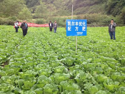 項(xiàng)目案例